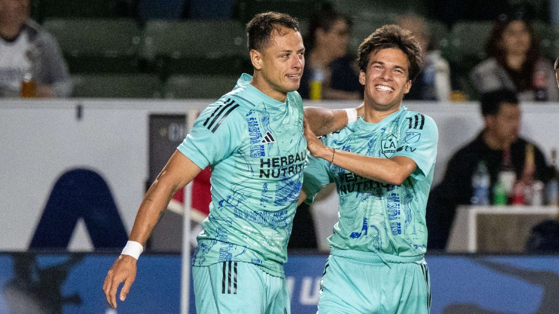 努力实现 努力实现